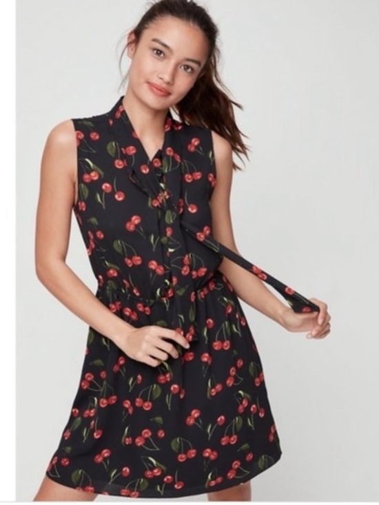 Aritzia Dresses & Skirts - Aritzia Sunday Best Cherry print mini dress